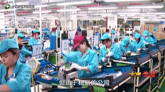 創(chuàng)業(yè)是一條無比艱辛的路，創(chuàng)新更是無限風光在險峰。在男性為主導的商海里，女性創(chuàng)業(yè)創(chuàng)新需要鼓足十萬分的勇氣和力量，是挑戰(zhàn)未來成功的小概率事件。而十堰姑娘楊麗便是這小概率事件中的一個傳奇，也是女性創(chuàng)業(yè)創(chuàng)新的榜樣。今天就來認識這位傳奇女性-興千田集團楊麗。